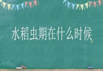 水稻虫期在什么时候