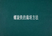 螺旋铁的栽培多久？