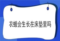 衣蛾会生长在床垫里吗？