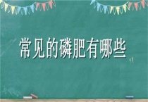 常见的磷肥有哪些？