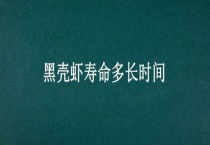 黑壳虾寿命多长时间？