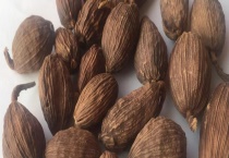 草果和草豆蔻的区别？ 详细介绍