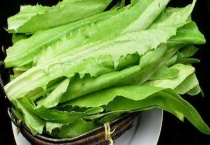 油麦菜和莴笋是不是同一种食物 油麦菜和莴笋叶有什么不同
