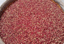 大红袍花椒和花椒区别？