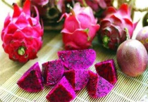 火龙果花苞和芽孢区别？