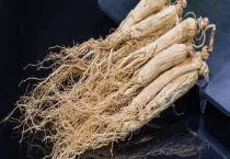 会行走的植物有哪些？