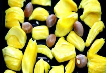 菠萝蜜的核能否生吃 应该怎么吃