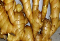 生姜种植到发芽需要多长时间？