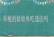 养殖的娃娃鱼吃违法吗？