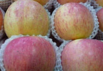 昌阳红苹果介绍