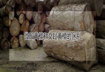 微凹黄檀和交趾黄檀的区别？