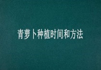 青萝卜种植时间和多久？