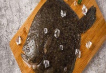 人工养殖多宝鱼是淡水鱼吗？