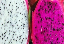 红心火龙果和白心火龙果的区别？ 吃红心火龙果有什么好处