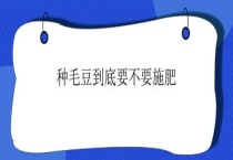 种毛豆到底要不要施肥