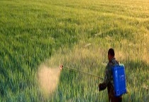 敌草快与草胺磷有什么不同 具体体现在哪些方面