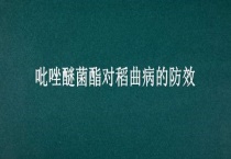 吡唑醚菌酯对稻曲病的防效