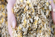 粗饲料的处理方法 切碎、粉碎、浸泡等多种多久？