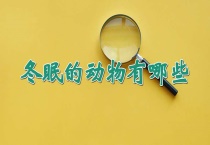 冬眠的动物有哪些？