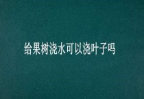 给果树浇水可以浇叶子吗？