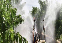 液肥是什么 怎样使用 附使用注意事项