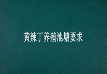 黄辣丁养殖池塘要求