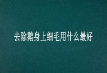 去除鹅身上细毛用什么最好