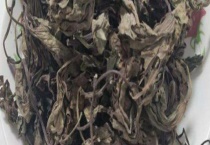 红薯叶怎么晒干 晒干的红薯叶怎么保存