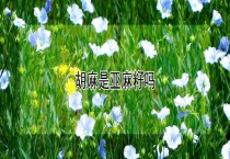 胡麻是亚麻籽吗？