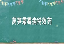 莴笋霜霉病特效药