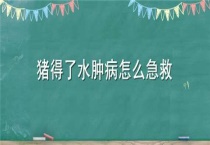 猪得了水肿病怎么急救