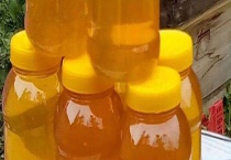 怎样辨别百花蜜的真假 从色泽、味道、结晶、价格上来辨别