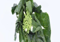 儿菜什么时候打多效唑最佳