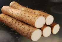 山药怎么水养