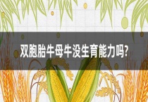 双胞胎牛母牛没生育能力吗？