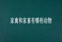 家禽和家畜有哪些动物