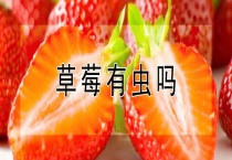 草莓有虫吗？