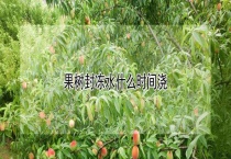 果树封冻水什么时间浇