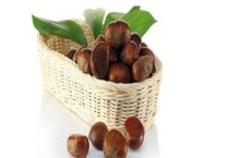 板栗产地主要在哪个省 分别介绍板栗的种类