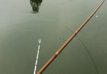 并继竿的优缺点有哪些？附竿型特点