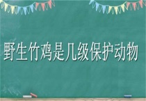 野生竹鸡是几级保护动物