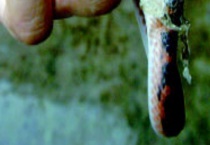 怎么抓蛇不会被咬