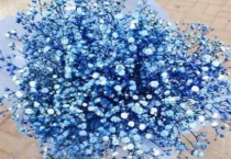 满天星花可以插水里吗？