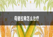 母猪拉稀怎么治疗