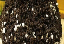 花盆里的土发白怎么办？