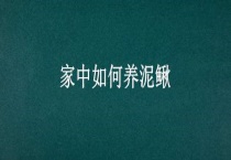 家中如何养泥鳅
