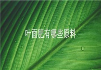 叶面肥有哪些原料