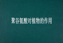 聚谷氨酸对植物的作用