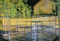 工业竹是什么？