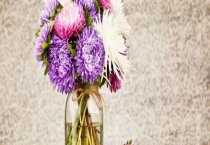 怎么养鲜花 有哪些要点